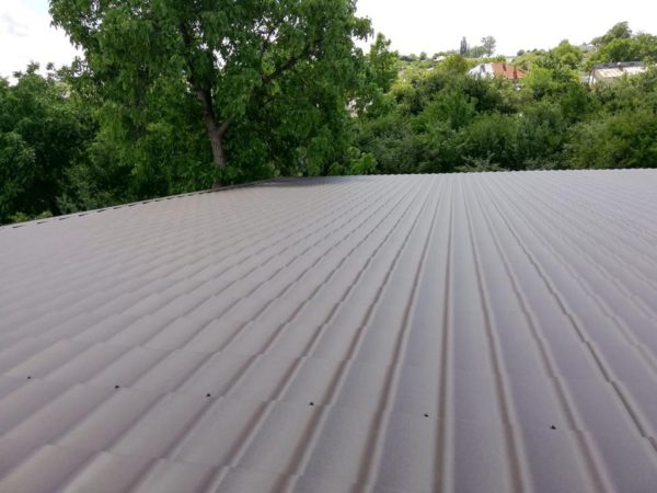 37376095_1060763830715583_3620306312656584704_n